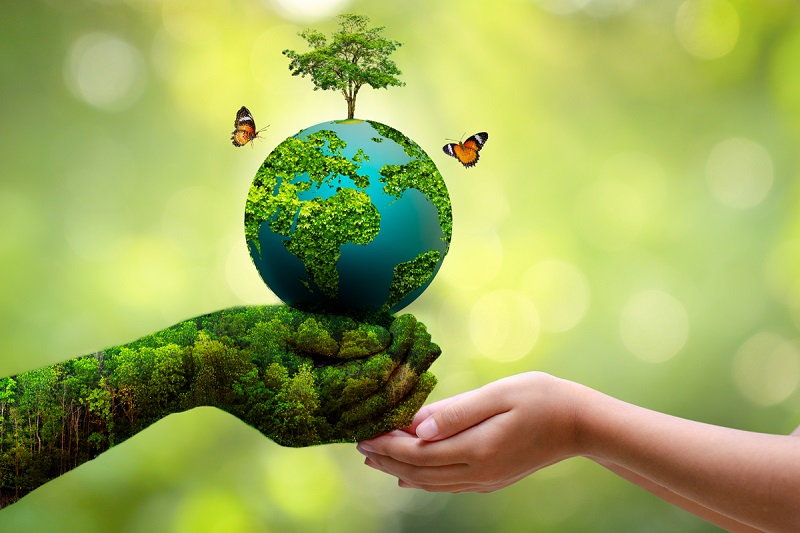 reasons-to-protect-the-environment