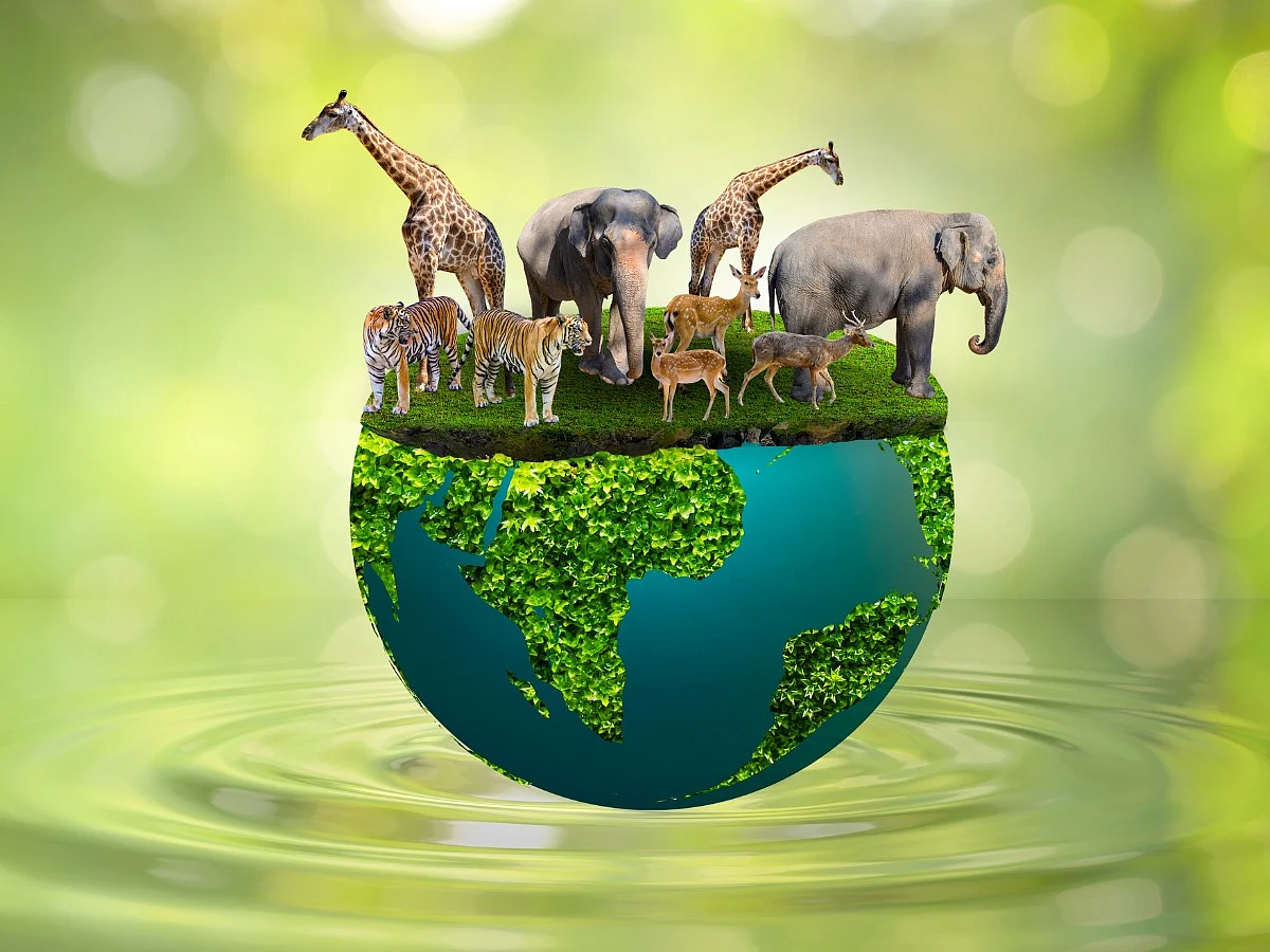 thequint_2023-10_bbb28404-c8ad-4e24-95b5-e9362affd7fb_world_wildlife_day_concept_nature_reserve_conserve_wildlife_reserve_tiger_deer_global_warming_jpg_s_